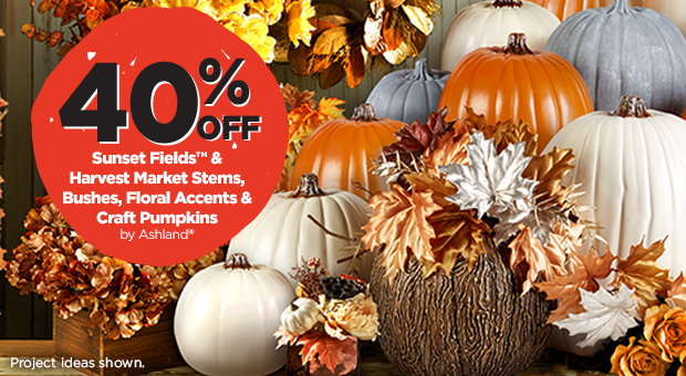 40% Off Harvest Market Craft Pumpkins & Sunset Fields and Harvest Market Stems, Bushes & Floral Accents by Ashland